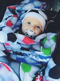 Hudson Moll